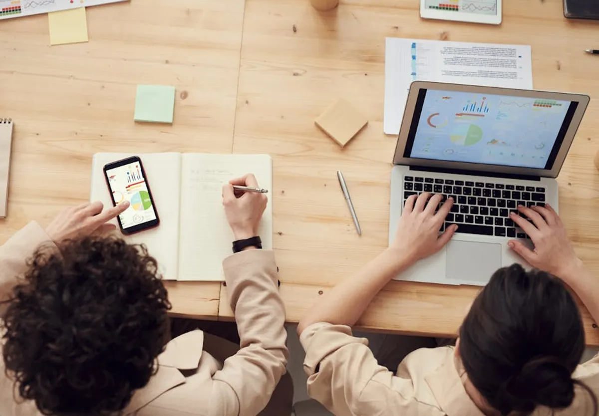 How SEO professionals can make sense of techsized.com